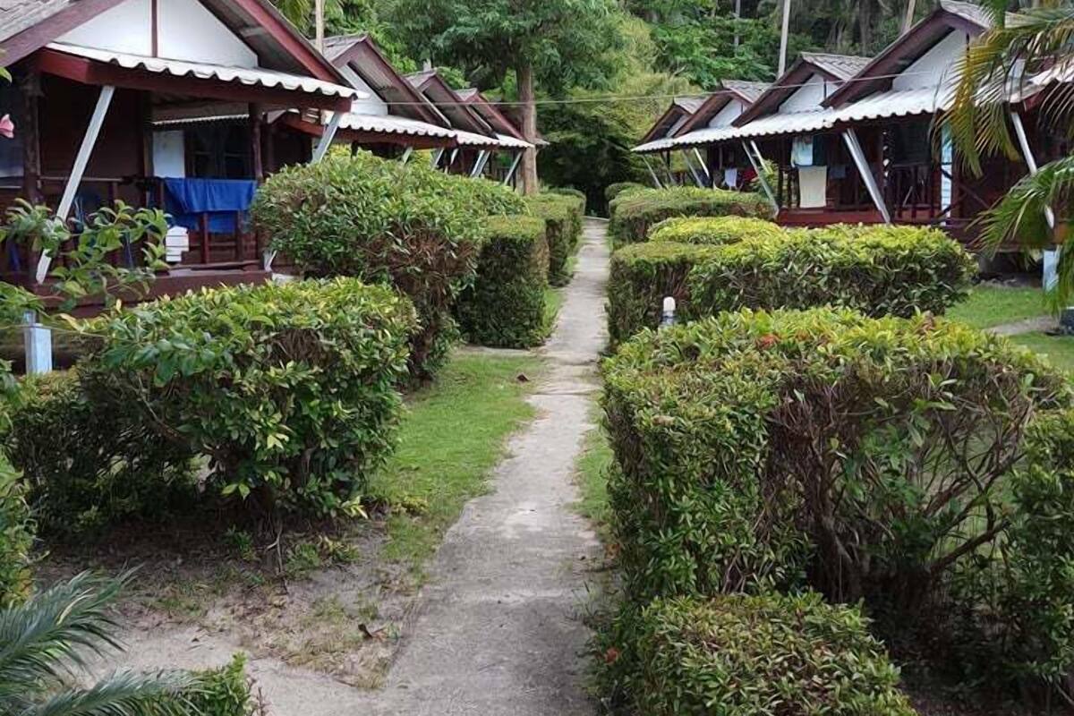 Ein Weg führt zu einer Reihe von Bungalows, umgeben von üppiger Vegetation und Palmen.