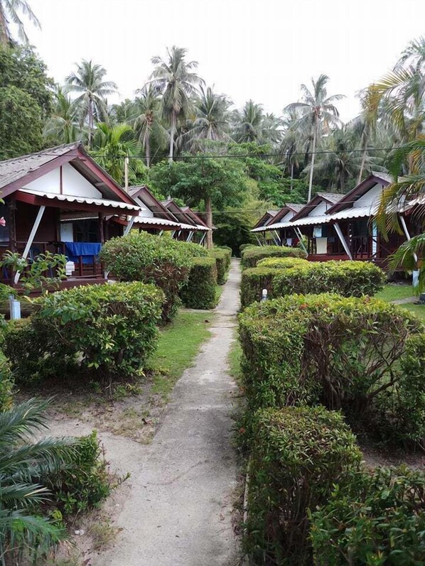 A pathway leading to a row of bungalow-style accommodations surrounded by lush greenery and palm trees. - Royal Orchid Resort (Ko Pha-ngan)
