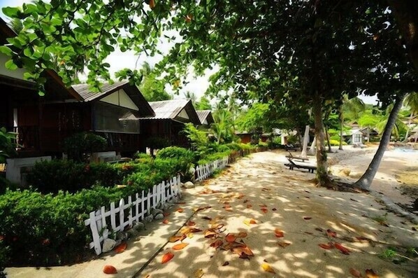 Small Room with A/C TV, Hot Shower | 住宿场地