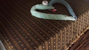 Una cama individual con una colcha estampada, una mesita de noche de madera con un espejo y un rollo de papel higiénico en el suelo.