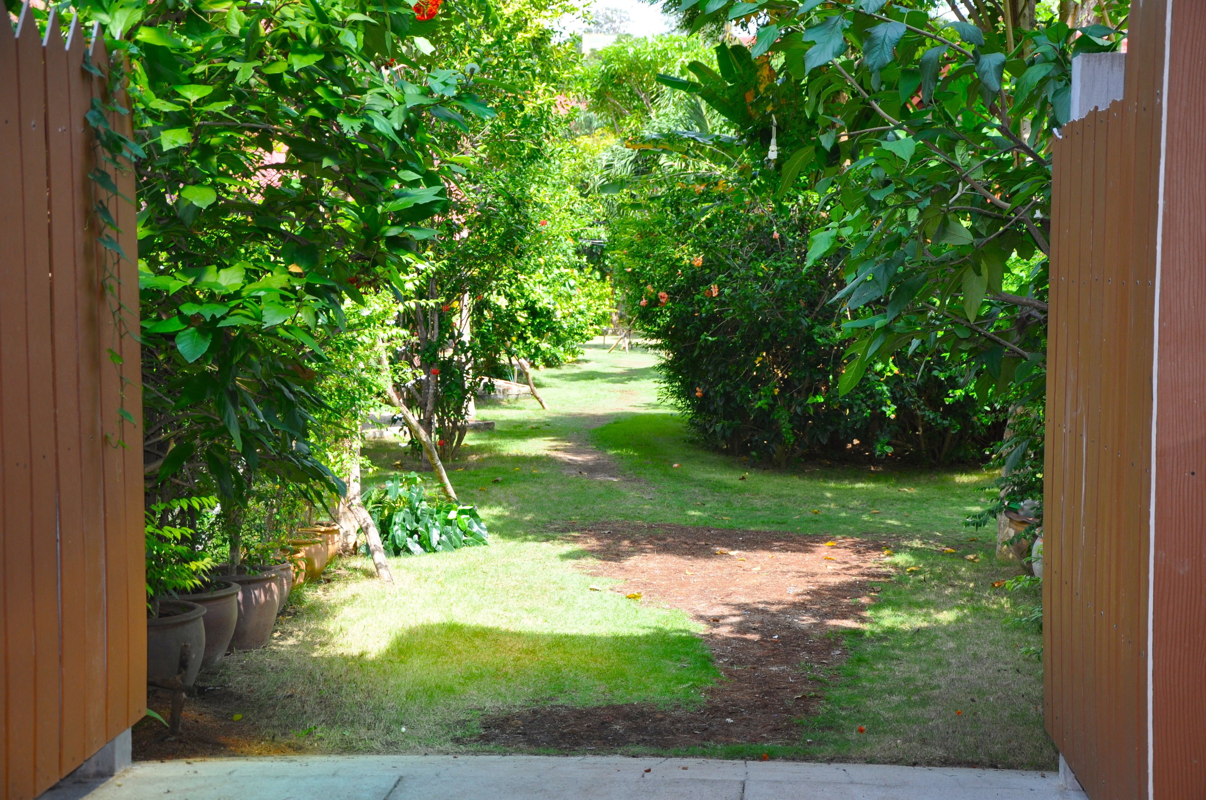 Photo - Coral Bungalows