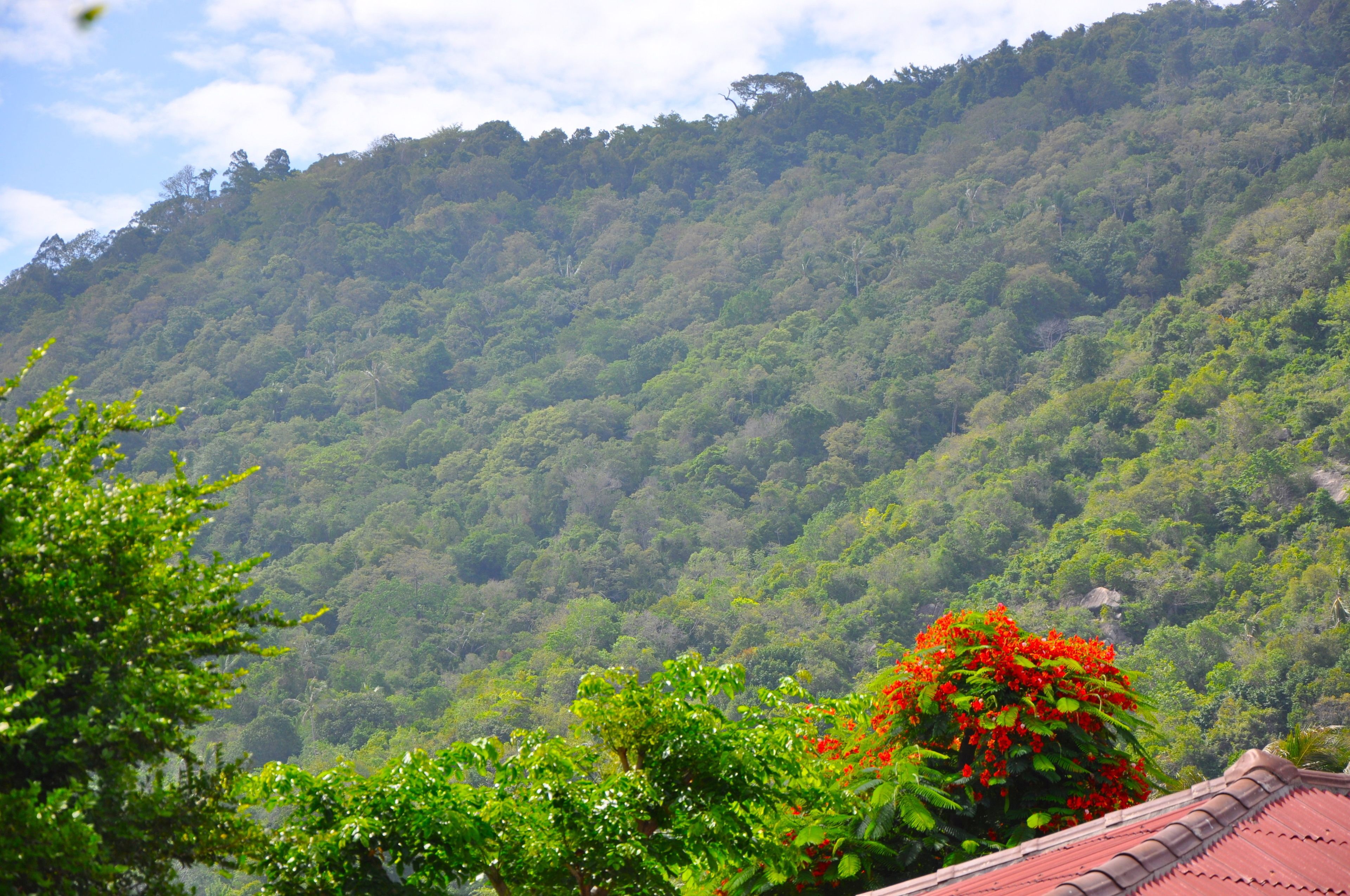 Photo - Coral Bungalows