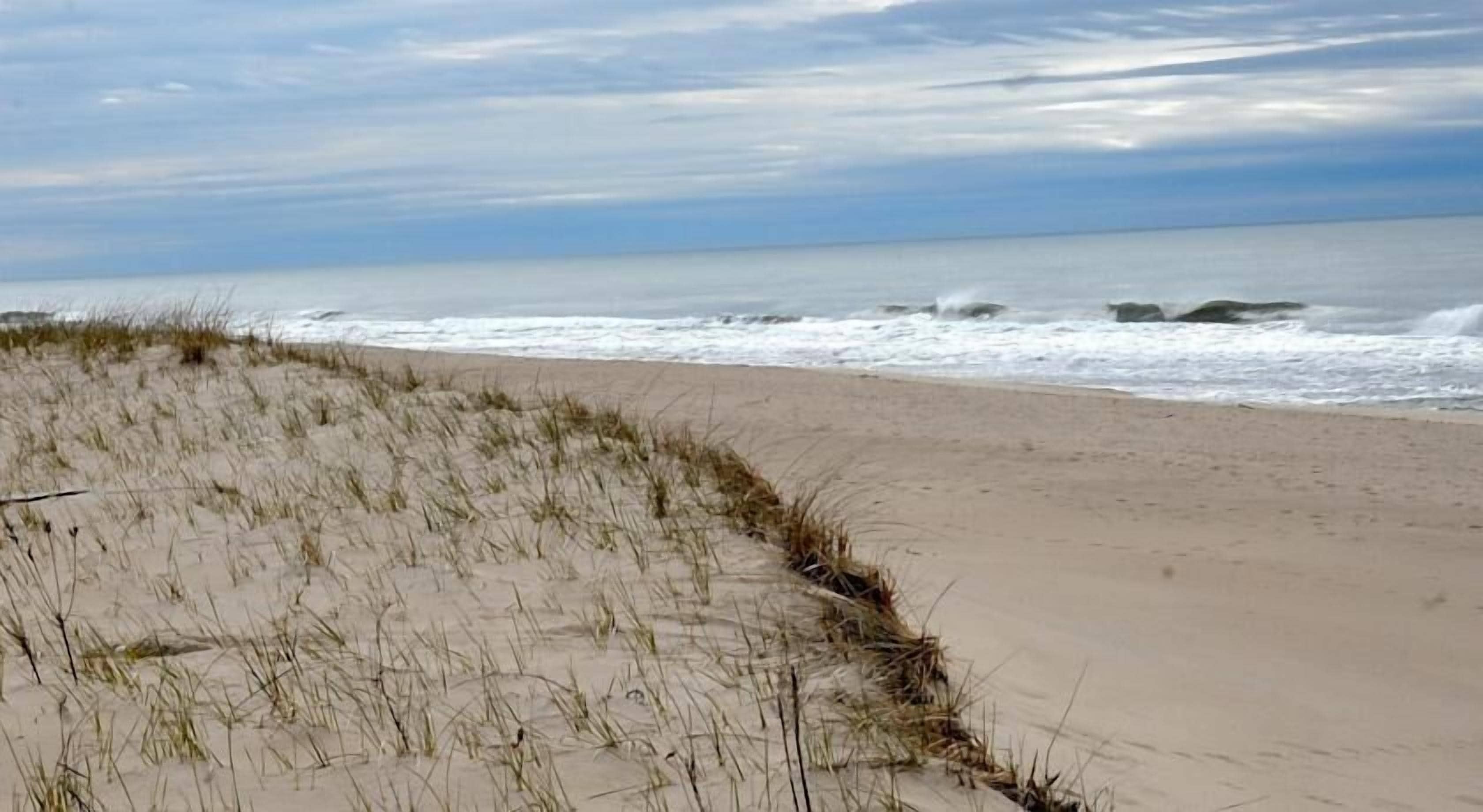 A beach with sand and grass.