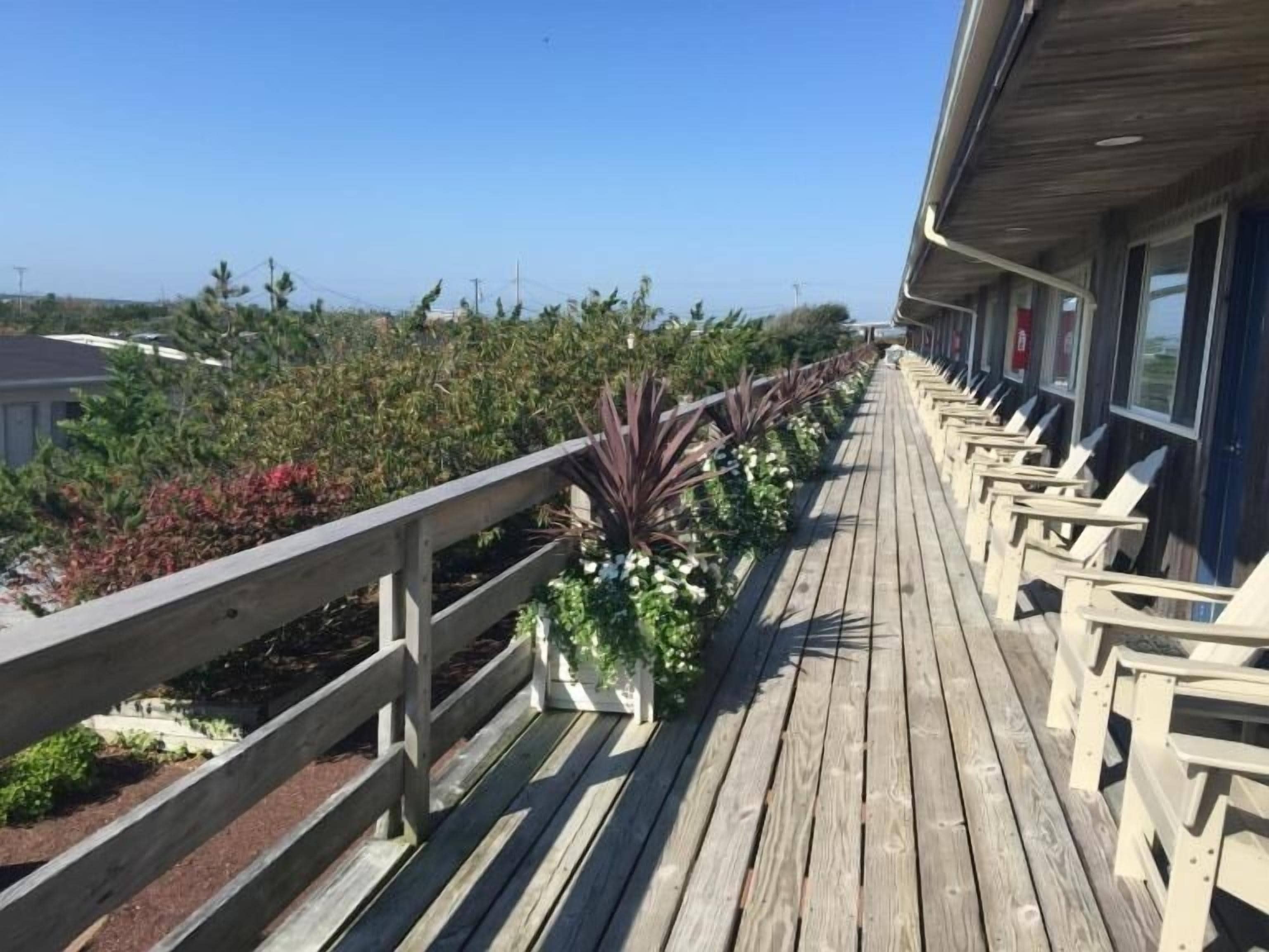 Une terrasse en bois, bordée d’une rangée de plantes en pot, sous un ciel bleu dégagé.