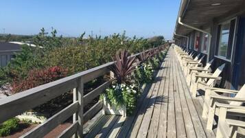 Une terrasse en bois, bordée d’une rangée de plantes en pot, sous un ciel bleu dégagé.
