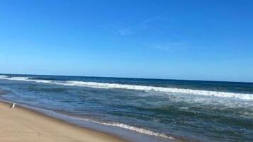 ชายหาด