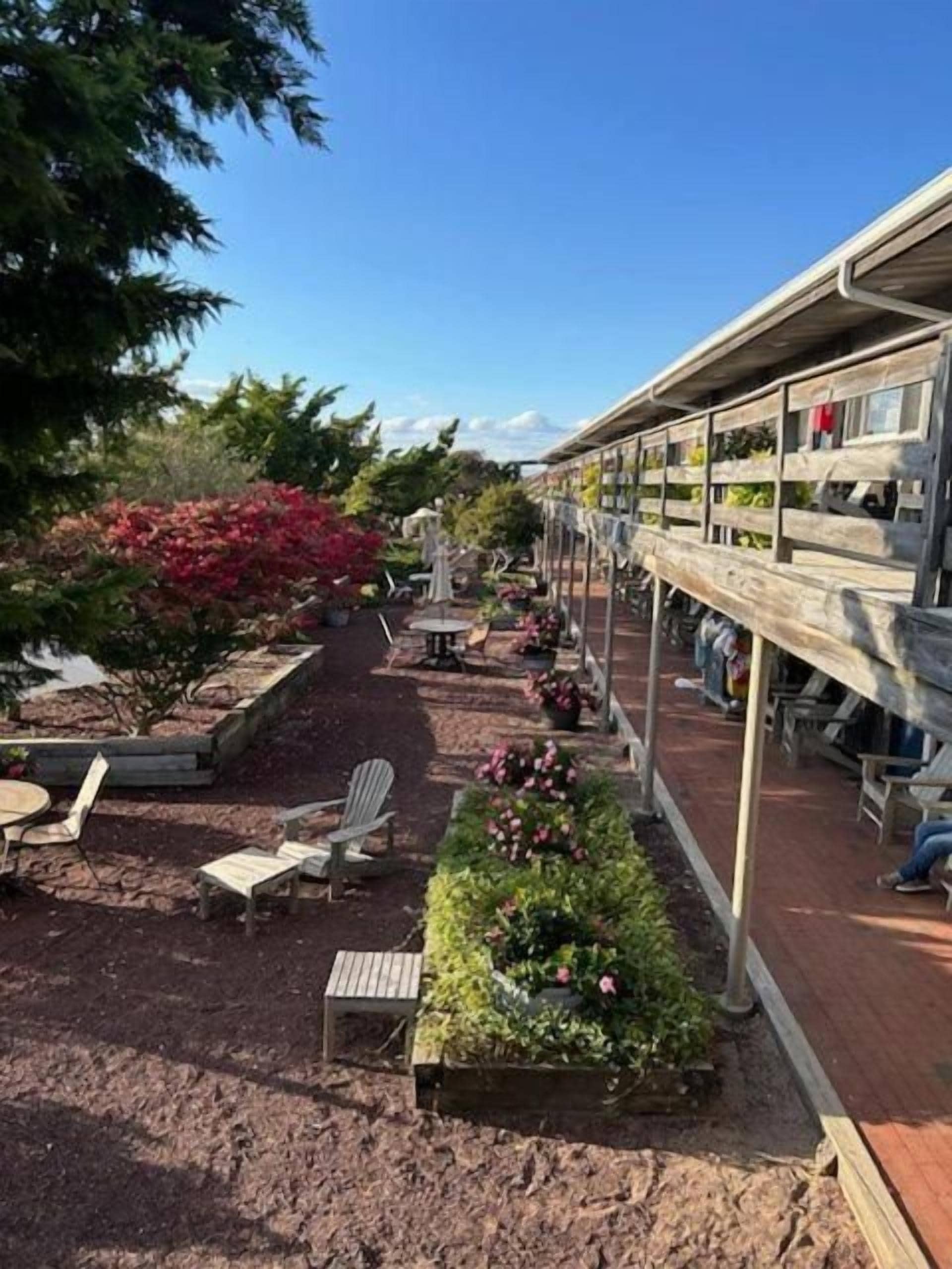 An outdoor seating area with chairs and planters, a building with balconies, and a clear sky.