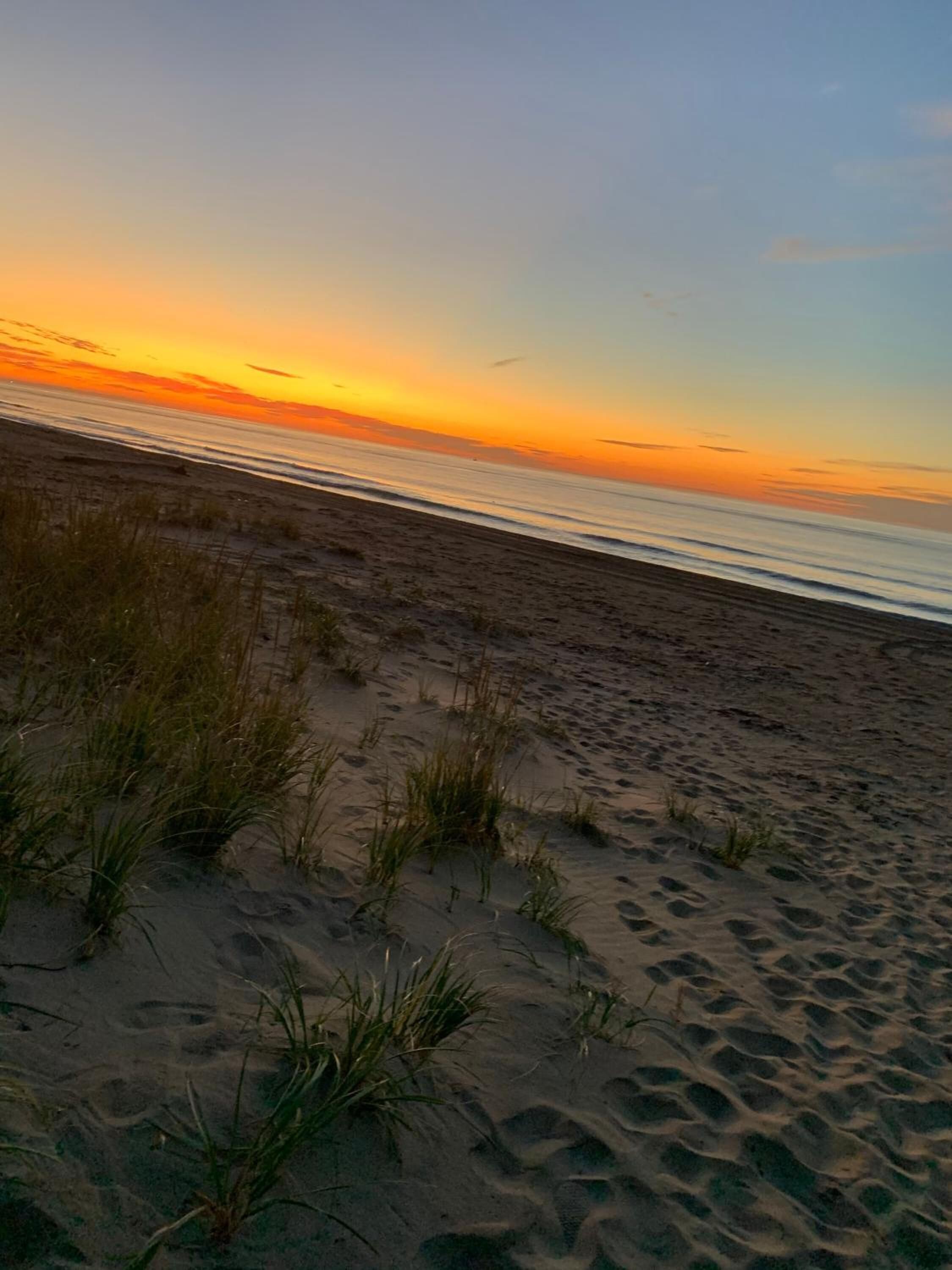 Una playa con arena y escasa hierba.
