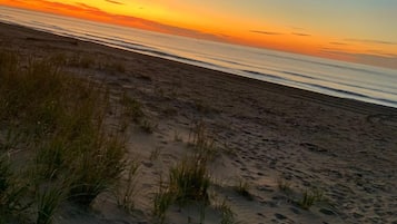 Una playa con arena y escasa hierba.