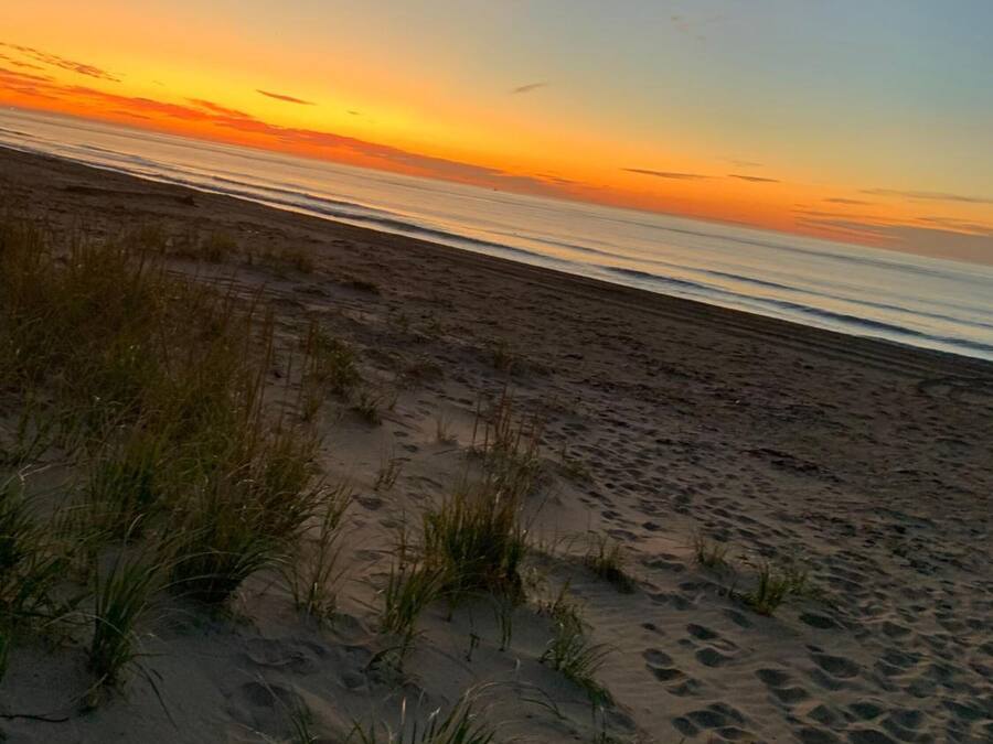 Una playa con arena y escasa hierba.