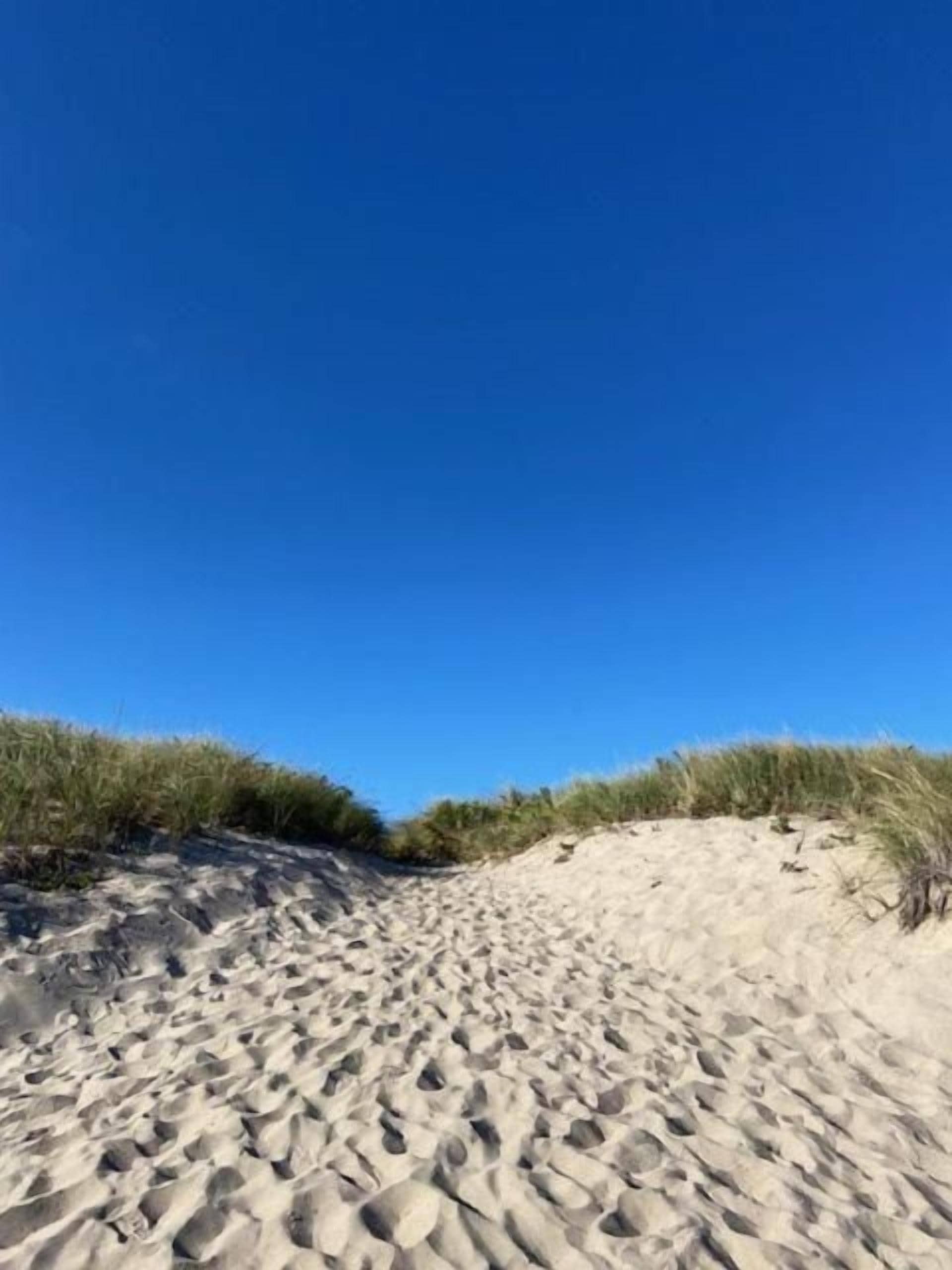 A sandy beach with dunes and sparse vegetation.