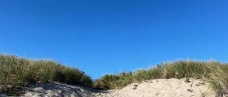 Ein sandiger Strand mit Dünen und spärlicher Vegetation.