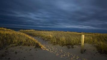 Un sendero arenoso que serpentea entre hierba alta hacia el mar bajo un cielo nublado.