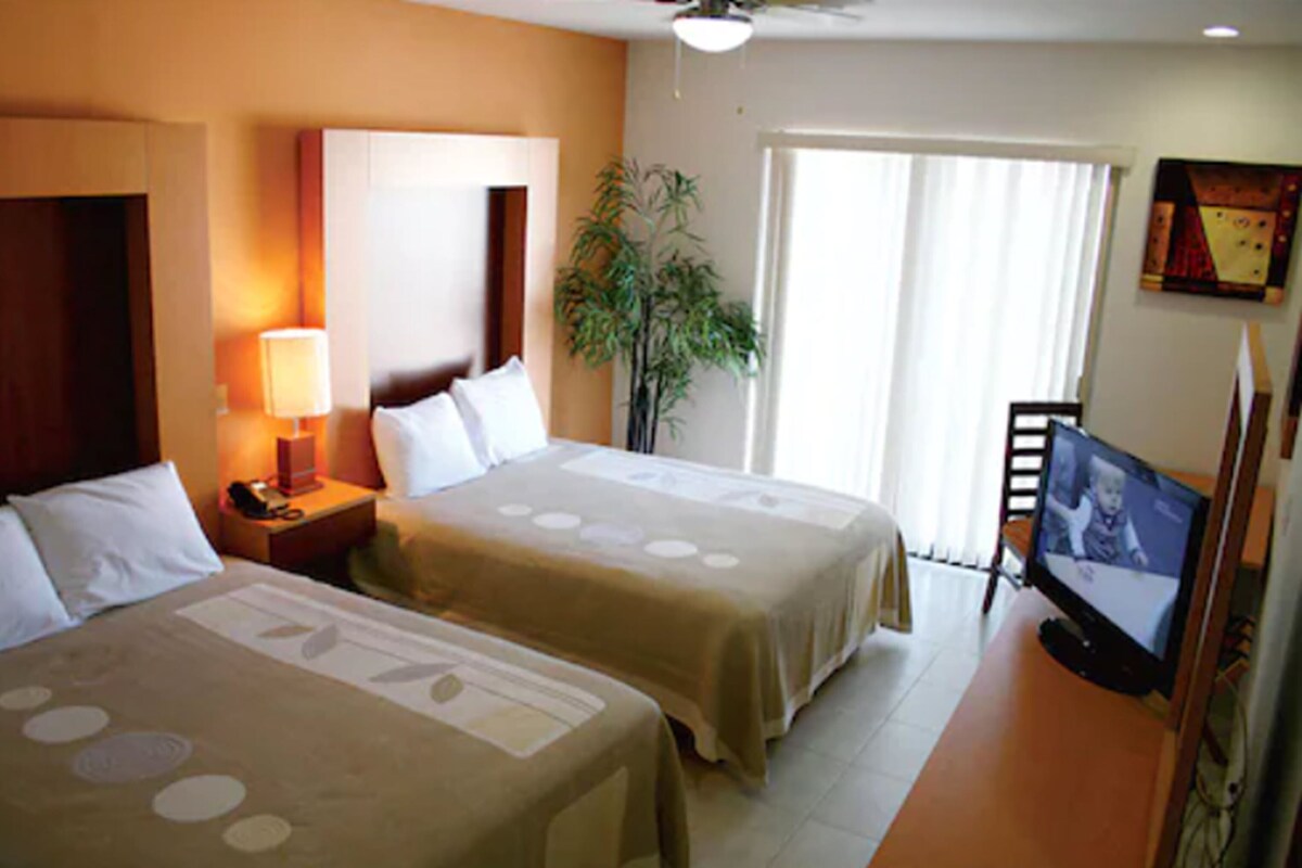A hotel room with two beds, a TV, a plant, and a window with curtains.