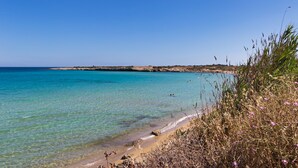 Une plage à l’eau turquoise et limpide, avec un rivage sablonneux et une végétation clairsemée.