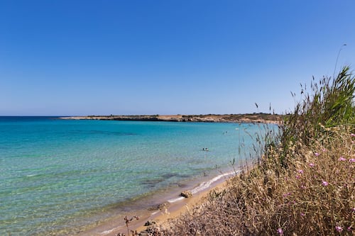 Beach nearby, free beach shuttle, beach umbrellas, beach towels
