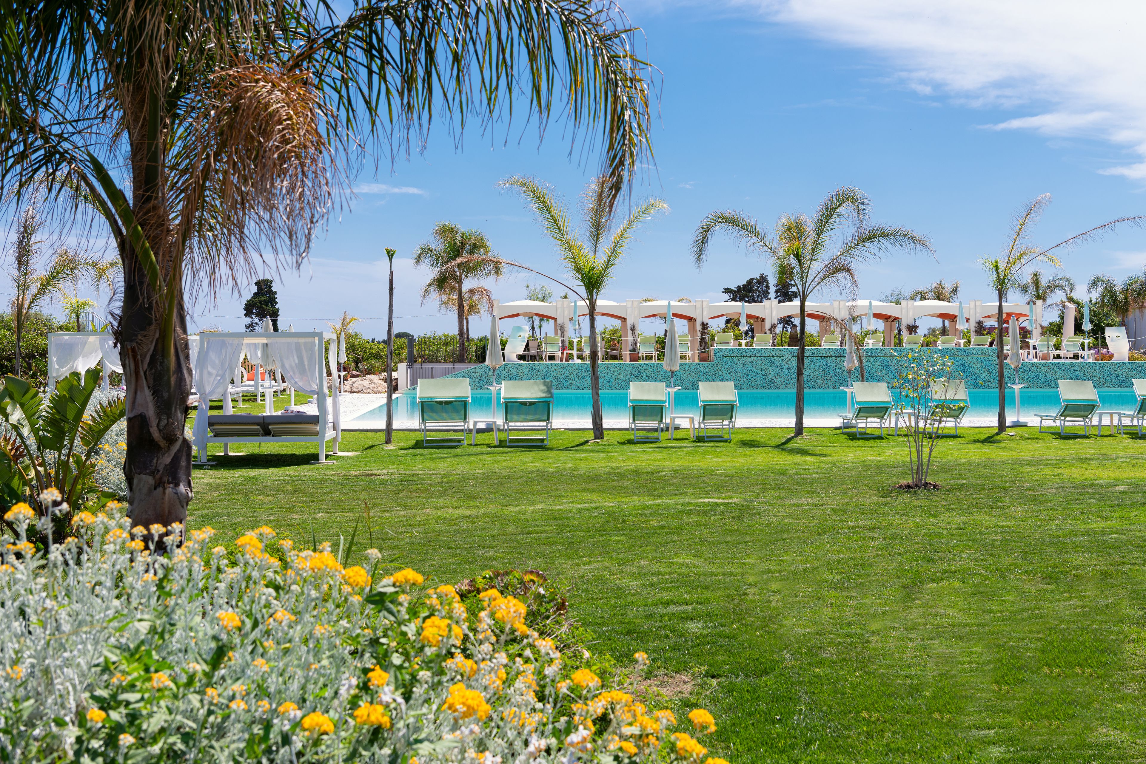 A poolside area with lounge chairs, a palm tree, and a clear blue sky.