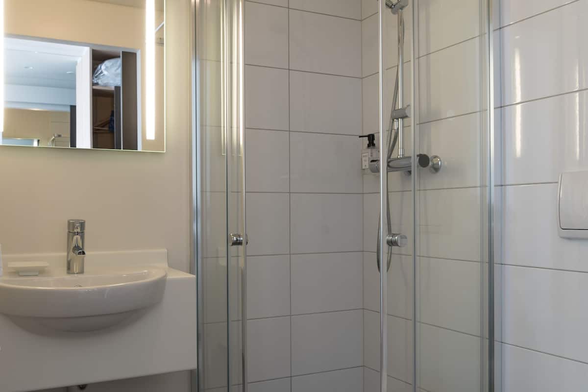 shower, free toiletries, hair dryer, towels