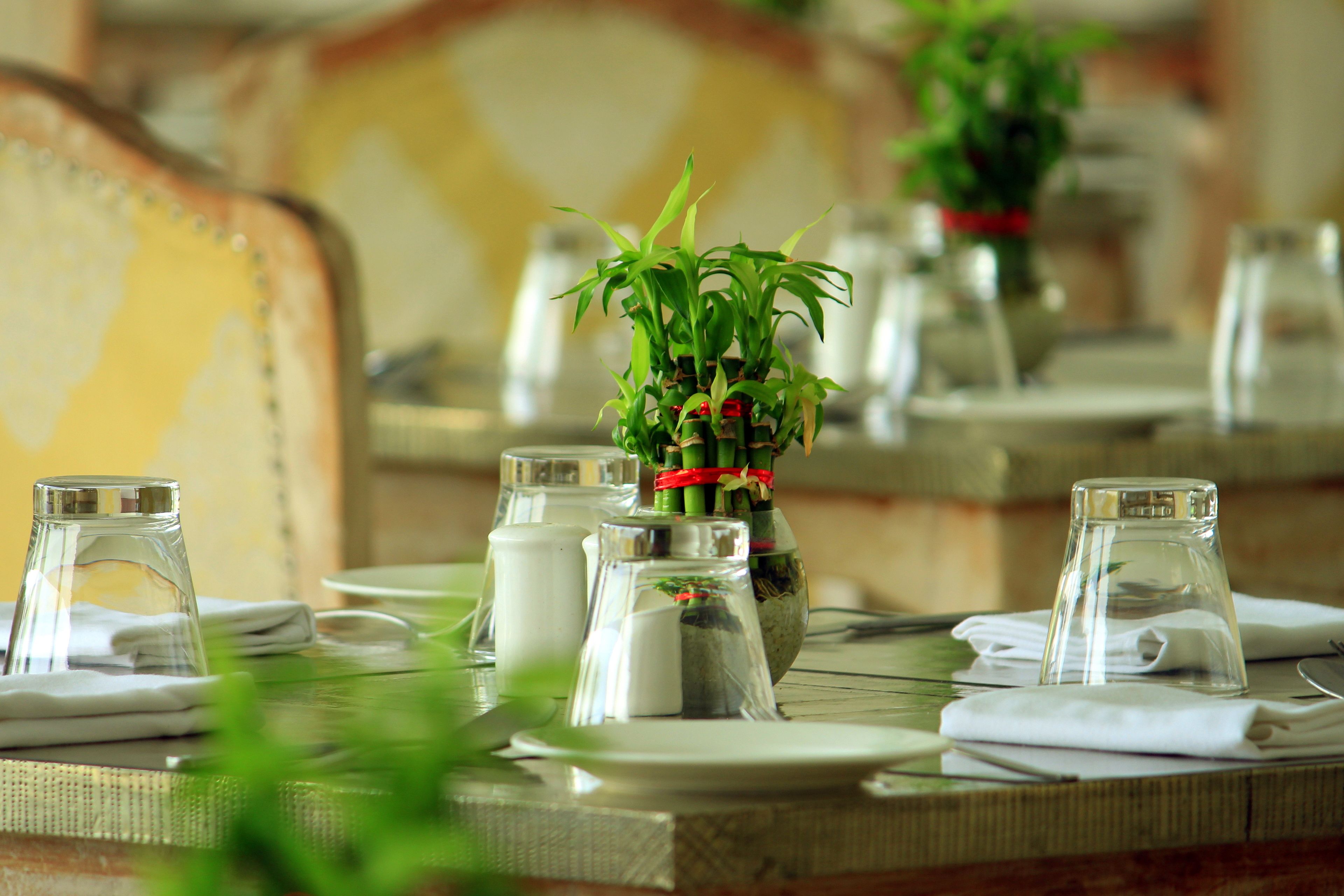 Foto - TatSaraasa Resort & Spa, Udaipur
