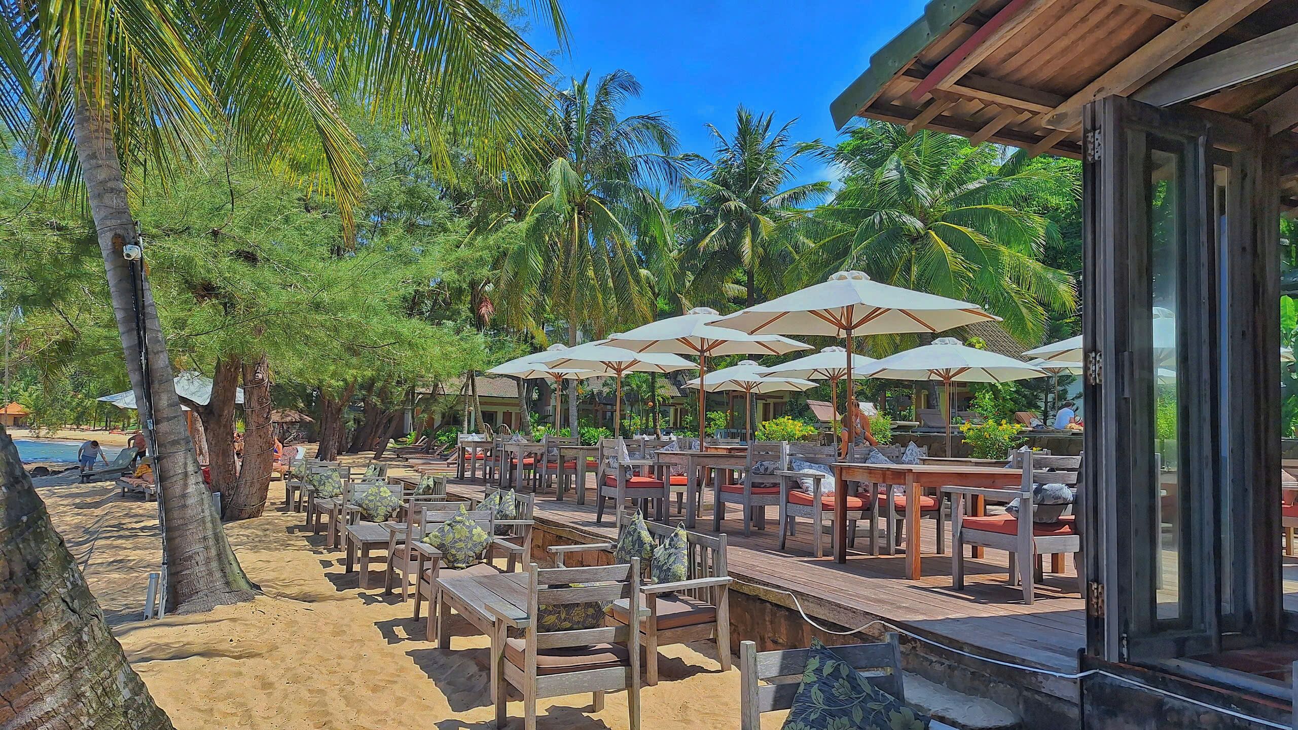 An outdoor seating area with wooden tables and chairs, umbrellas, and palm trees.