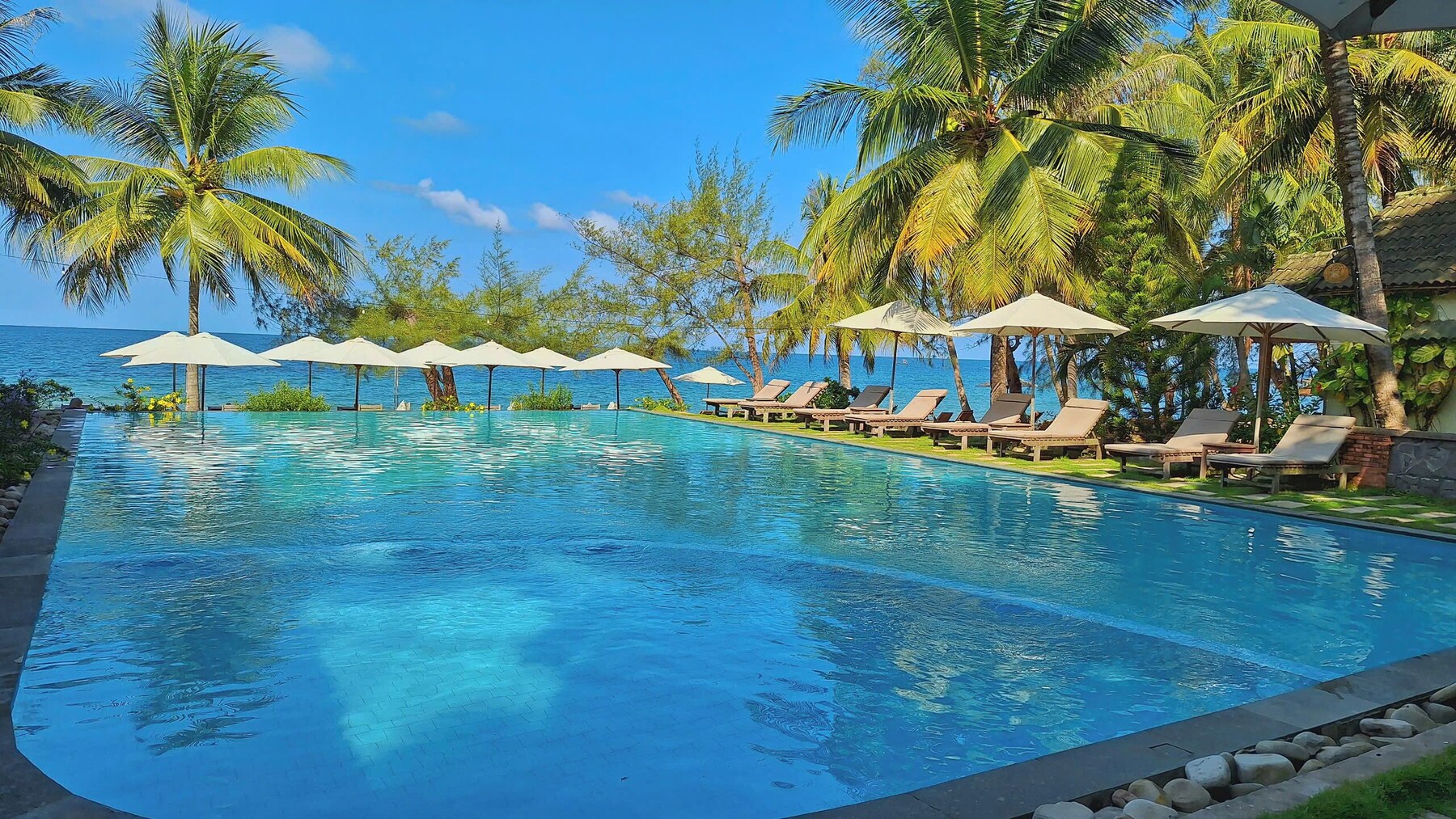 Outdoor pool, pool loungers
