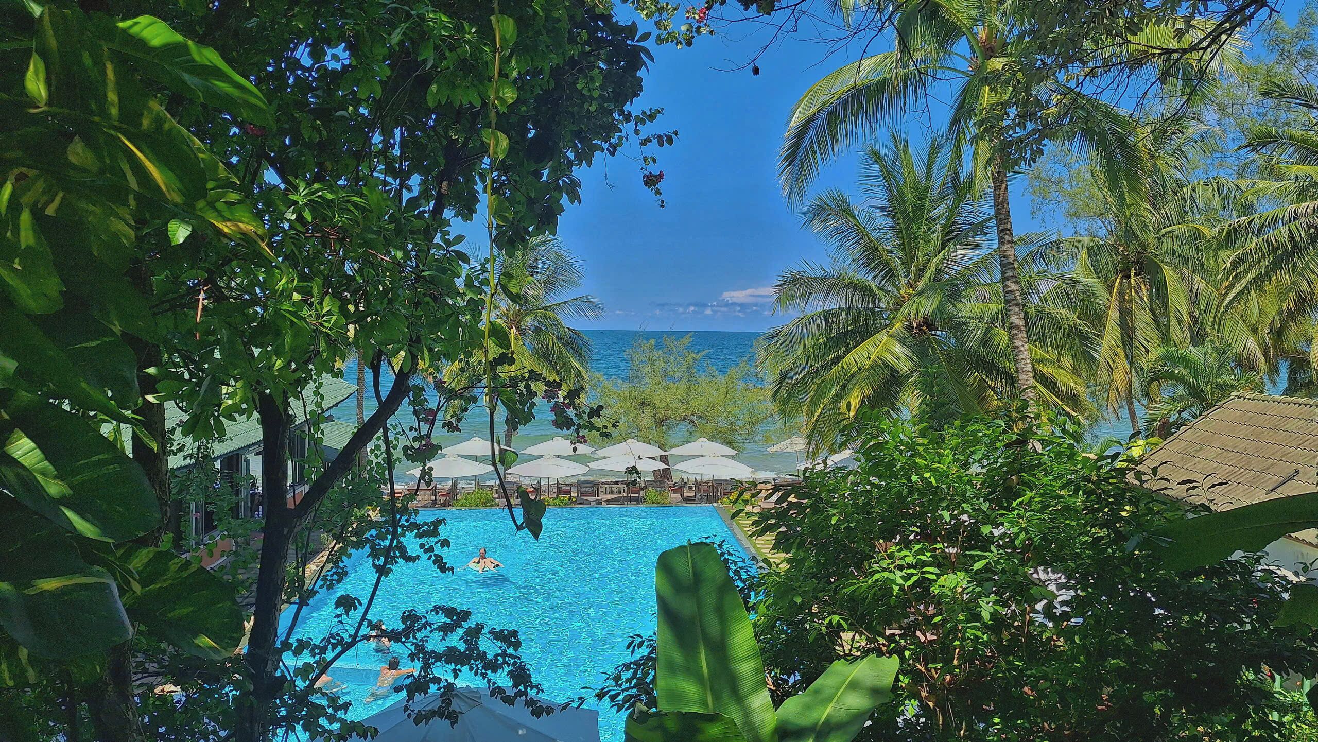 outdoor pool, pool loungers