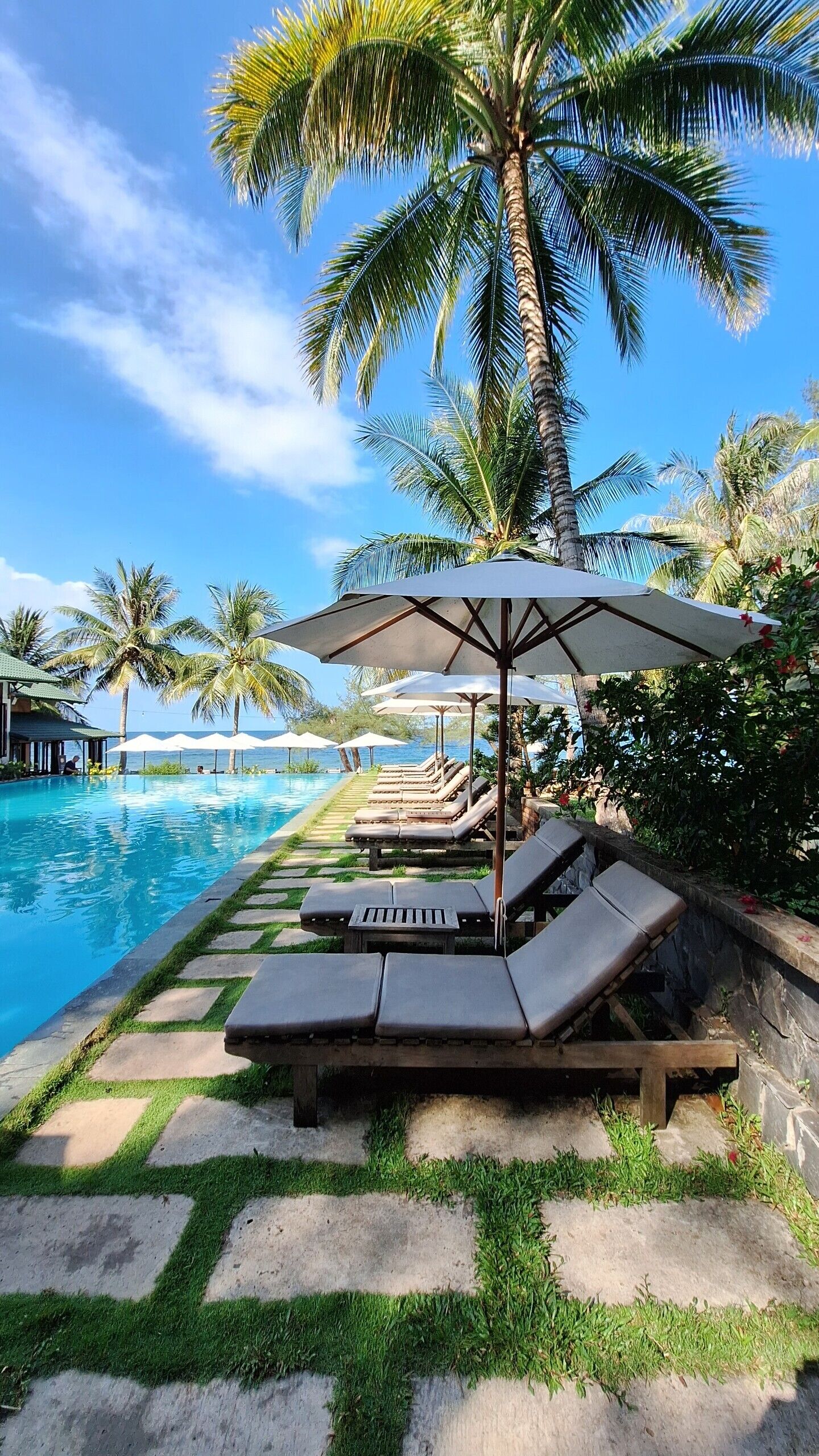 outdoor pool, pool loungers