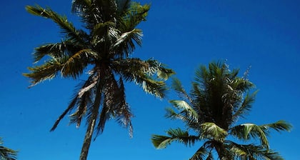 Coco Palm Beach Resort & Spa