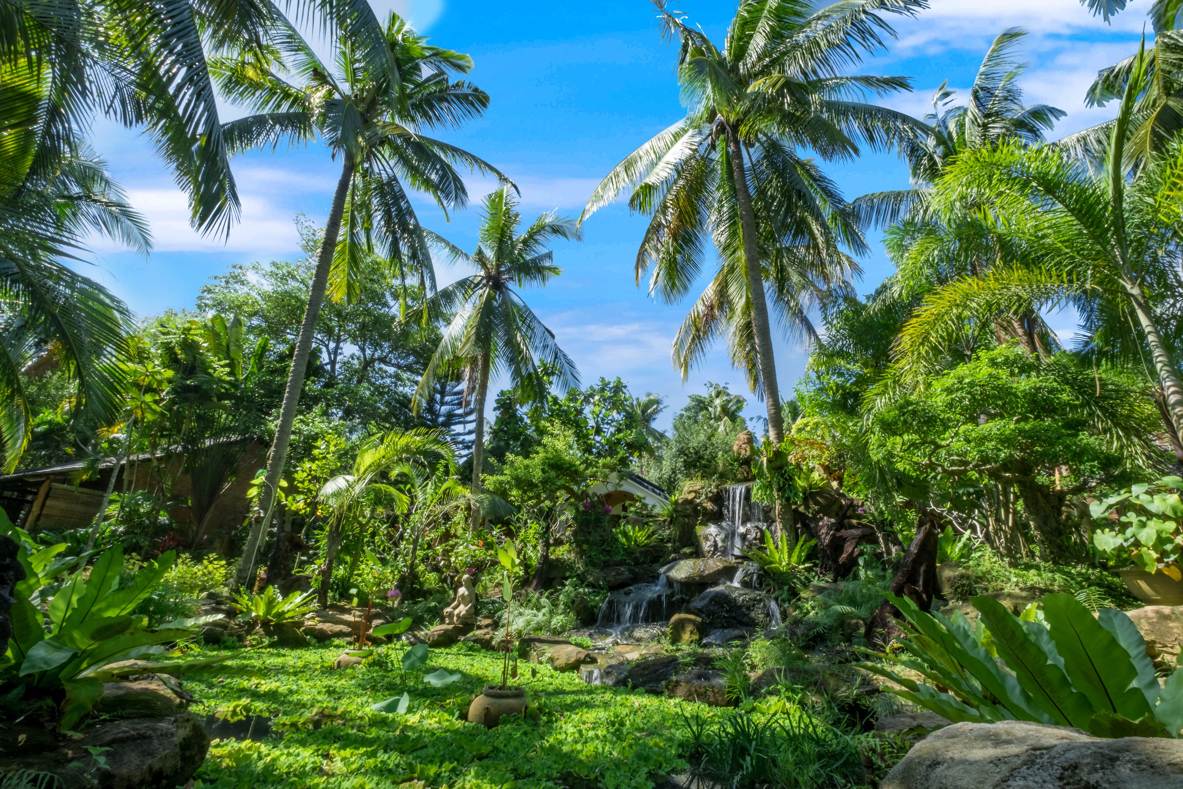 Jardín