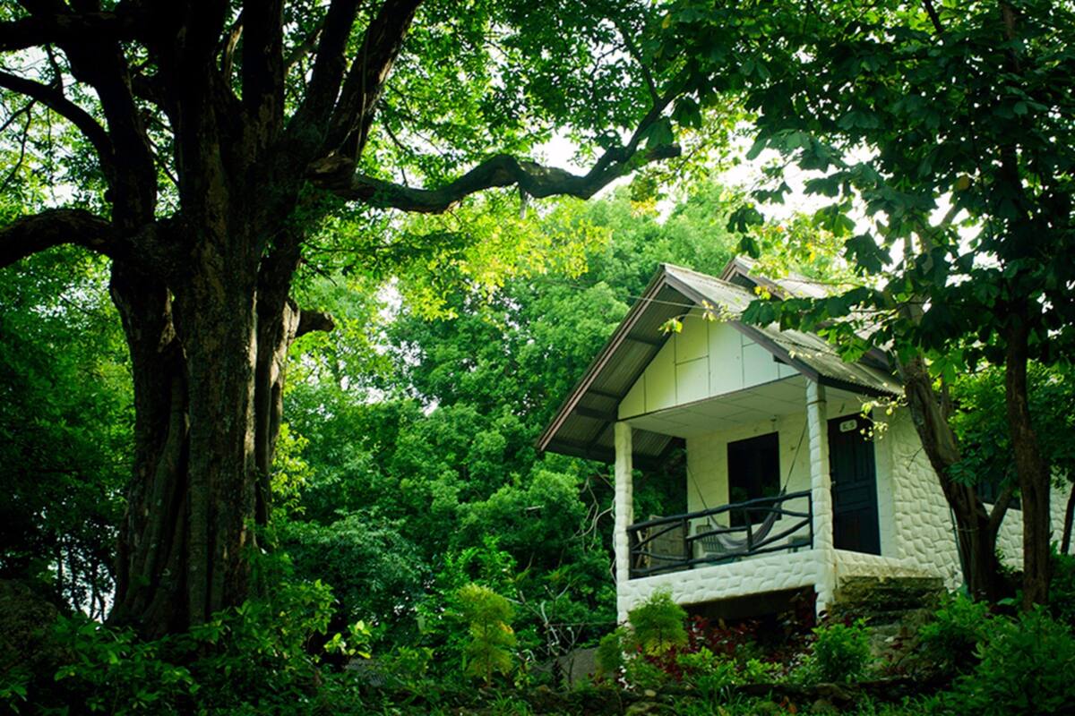 A small, rustic cabin surrounded by dense forest.