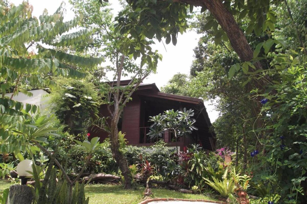 A rustic building surrounded by lush greenery and various plants.