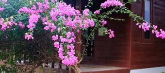 Moon Paradise Resort