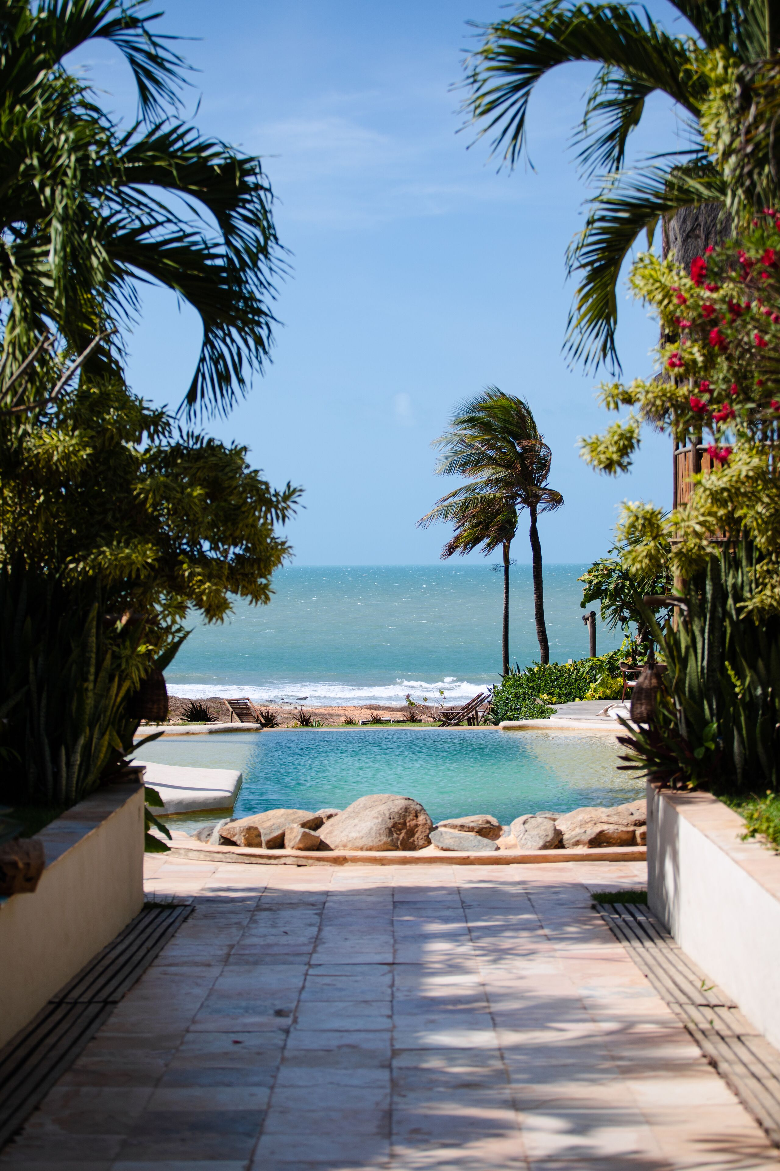 outdoor pool, pool loungers