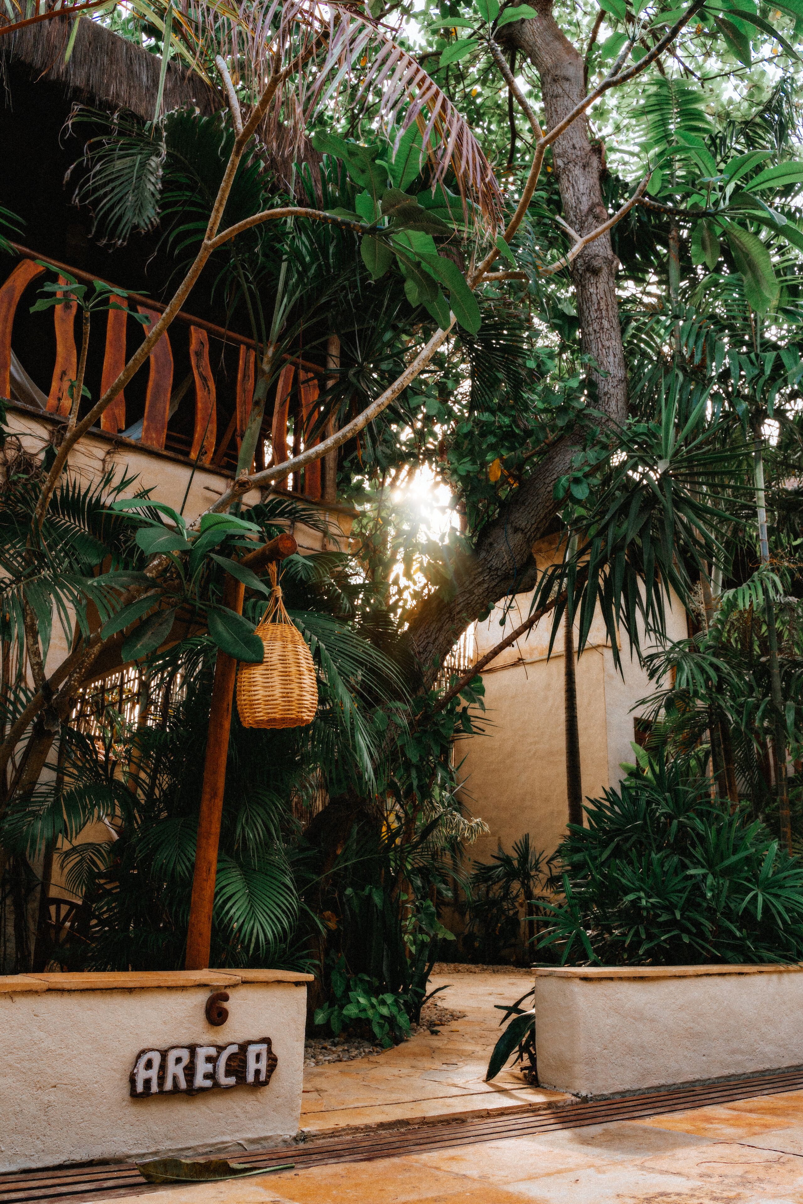 Jardí tropical amb una cistella de vimet penjant d'un arbre, una tanca de fusta i un cartell que diu 'ARECA'.