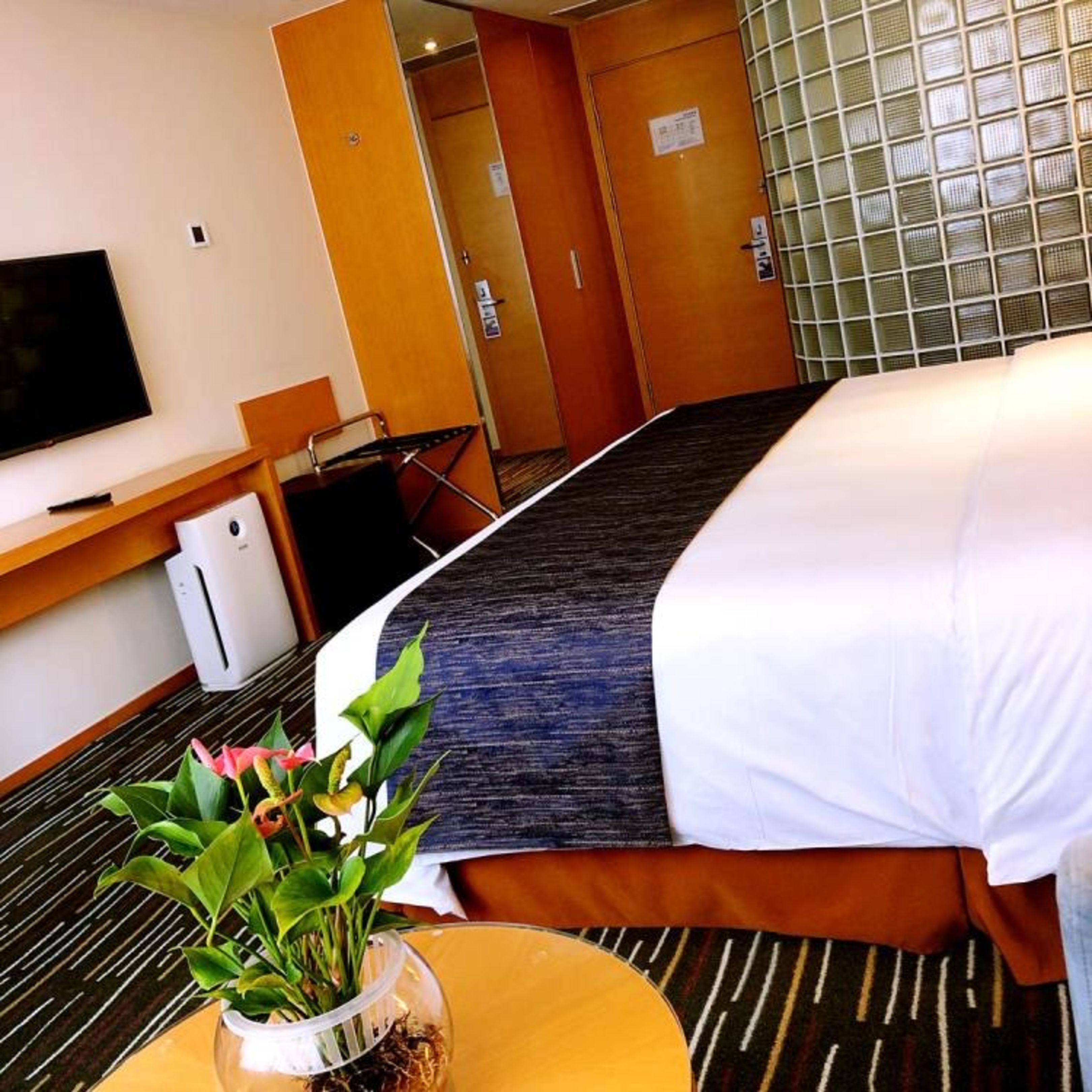 Foto - Holiday Inn Express Shanghai New Jinqiao by IHG