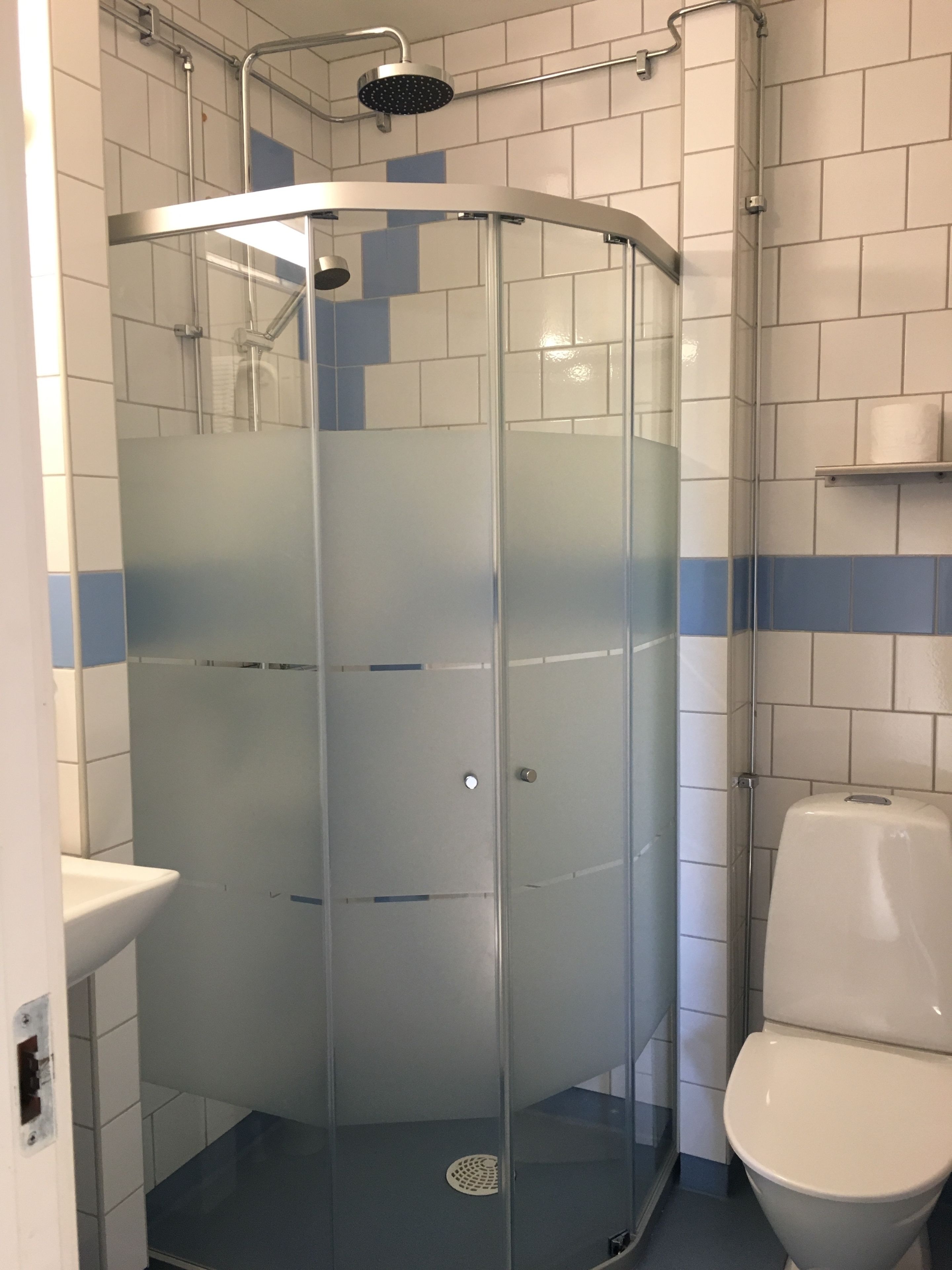 A glass-enclosed shower stall with a handheld showerhead, a white toilet, and a blue and white tiled wall.