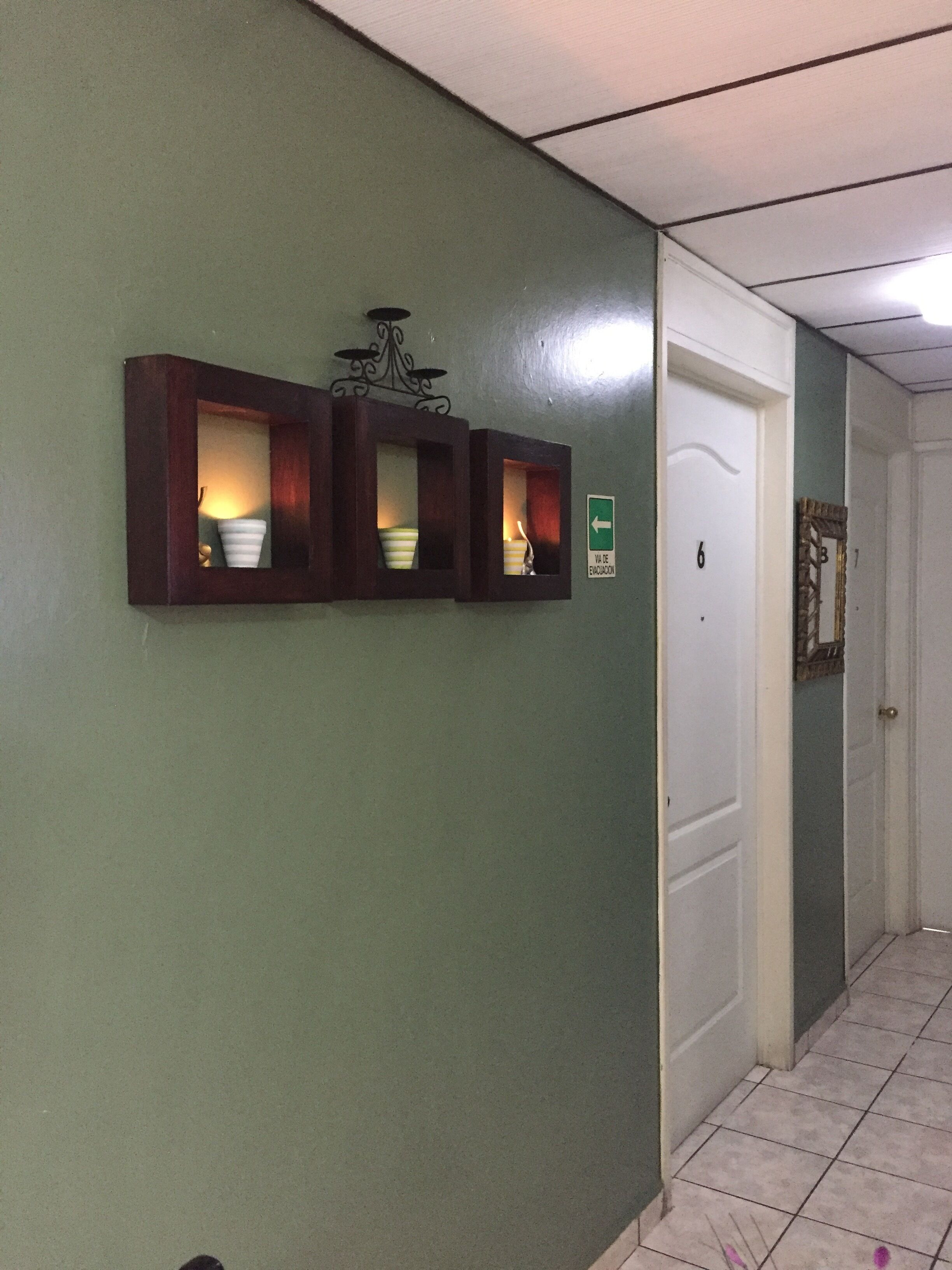 A hallway with green walls, three wooden display cases with potted plants, a sign indicating a way out, and a door with the number 6.