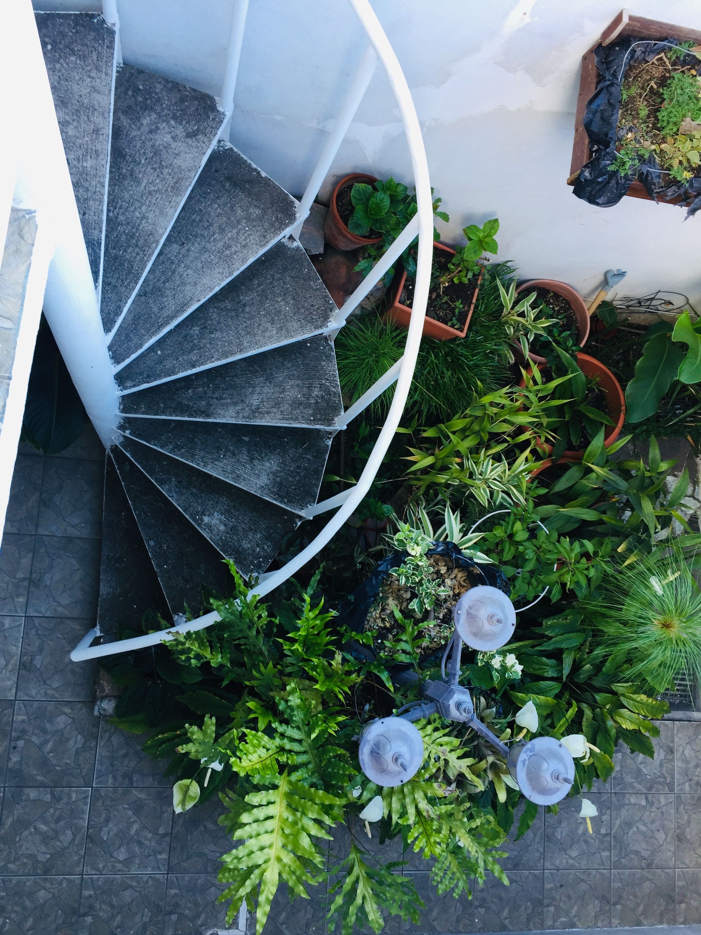 Photo - Hotel Tazumal House