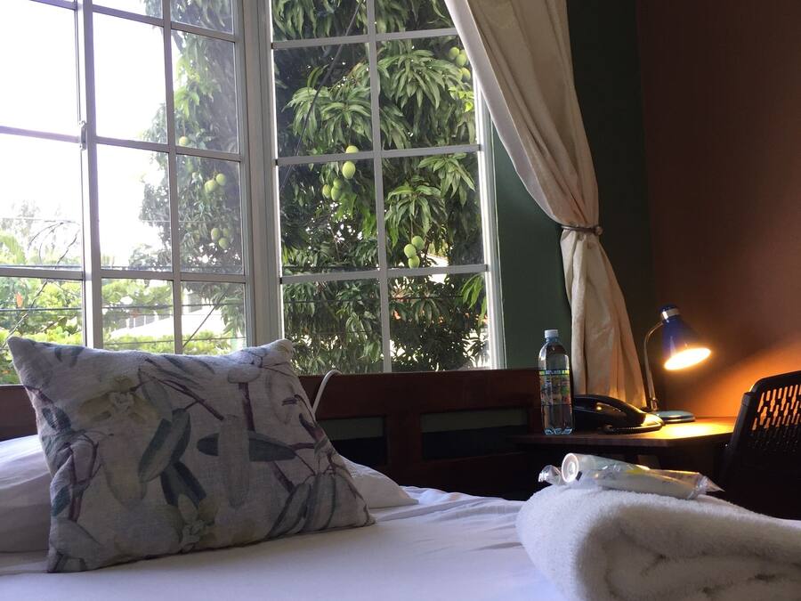 Single Room | In-room safe, desk, free WiFi, bed sheets