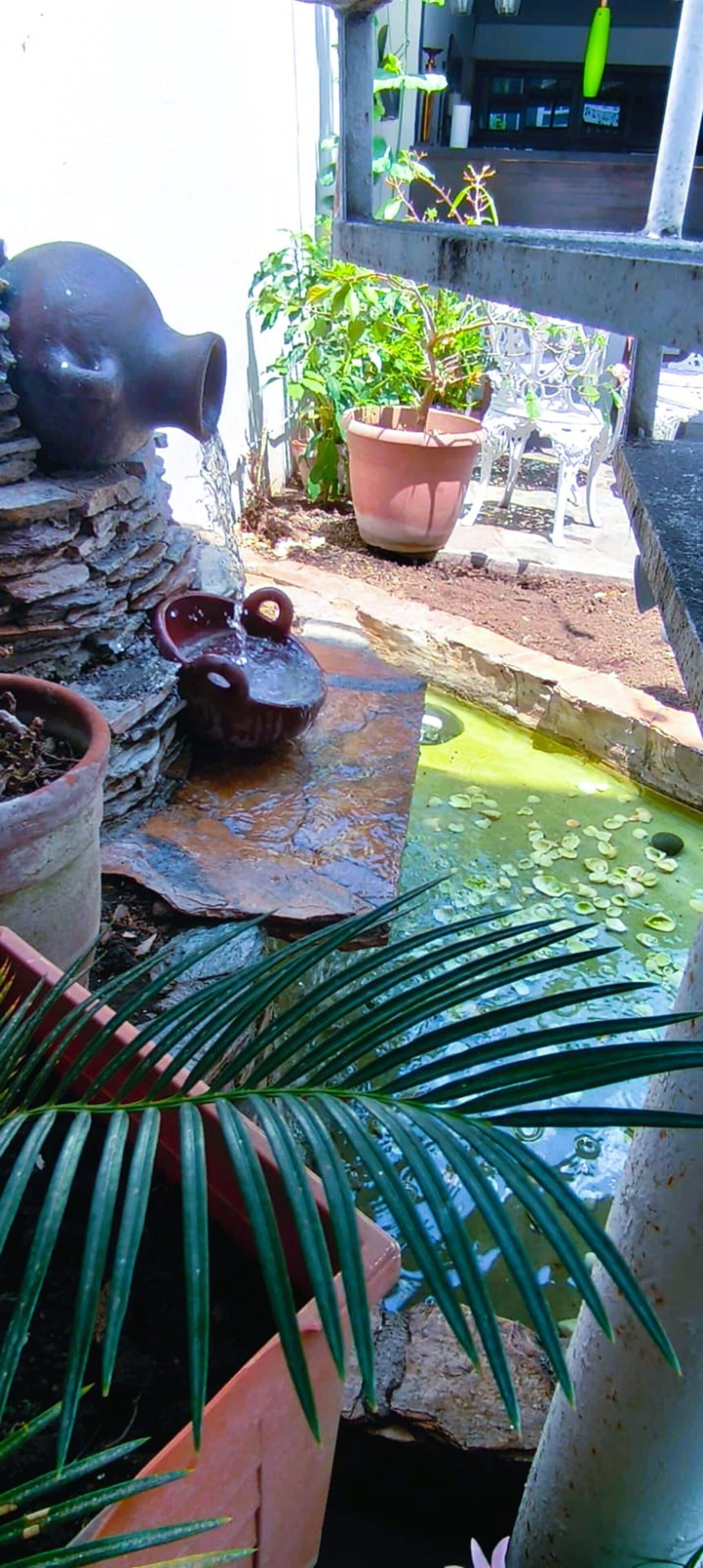 Photo - Hotel Tazumal House