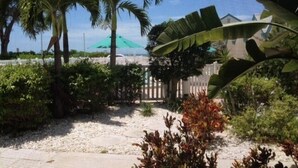 A garden area with palm trees, a pathway, and a fence. - Coconuts Beach Resort (Holmes Beach)