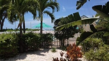 Unit 114 Courtyard View | View from room