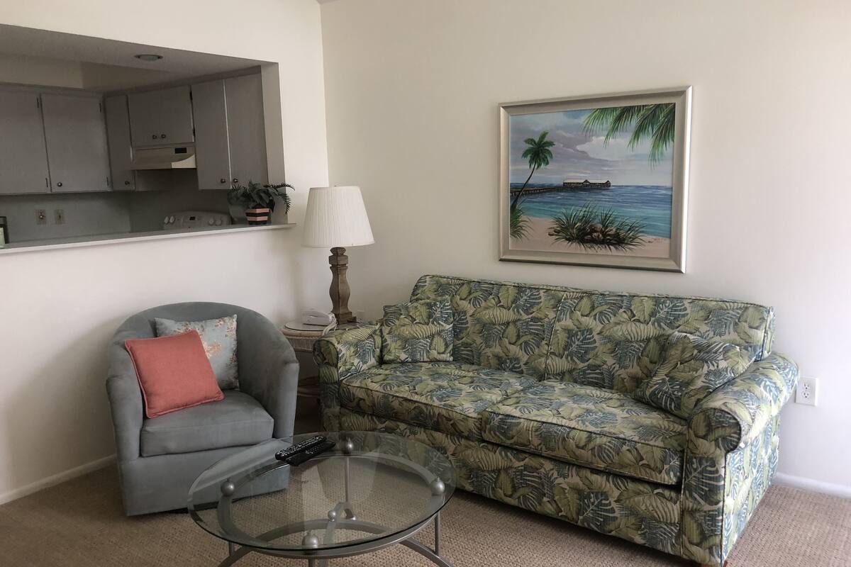 Unit 101 Pool Side  | Living room