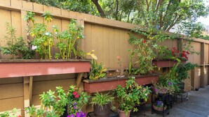 A garden with various potted plants and flowers. - Pacific Heights Inn (San Francisco)