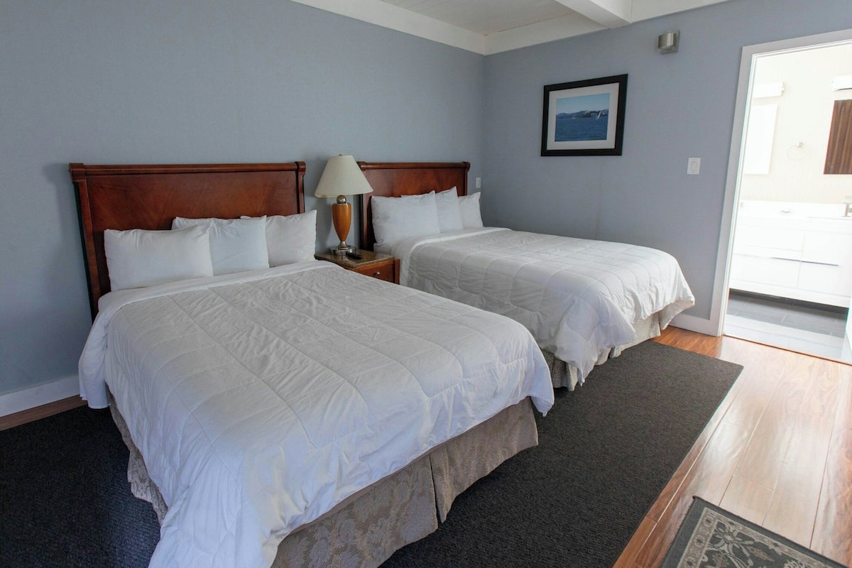 Laptop workspace, blackout drapes, iron/ironing board, free WiFi