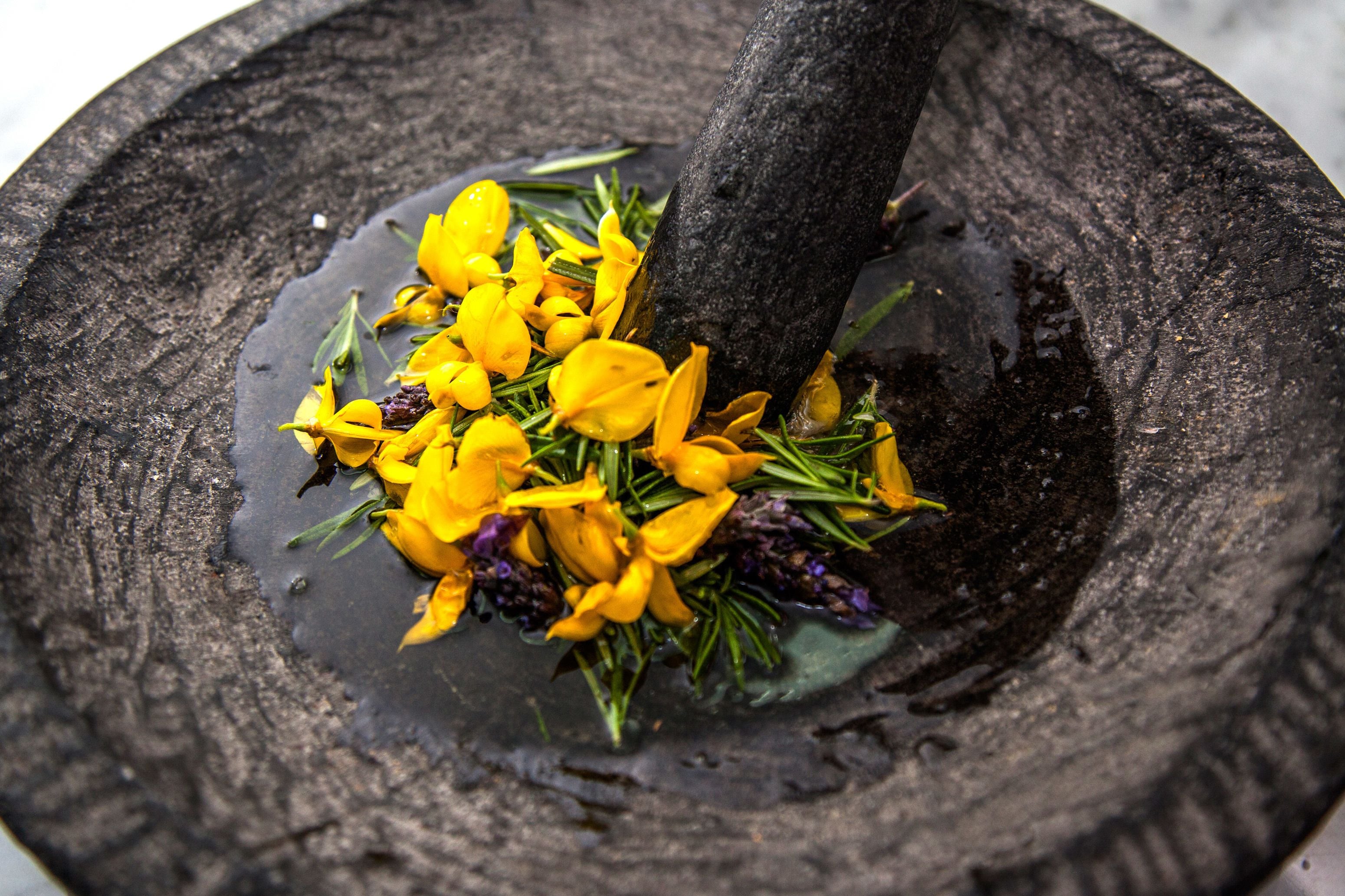 A stone mortar with yellow flowers and green leaves.