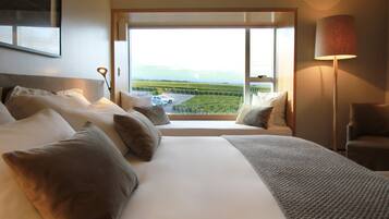 Standard Double or Twin Room (Cordon del Plata) | 1 bedroom, in-room safe, blackout drapes, iron/ironing board