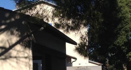 Friendly Auberge - Hostel