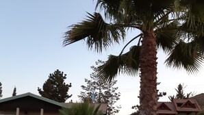Unclassified image, 5 of 49, button - Hotel Meson del Vino (Valle de Guadalupe)