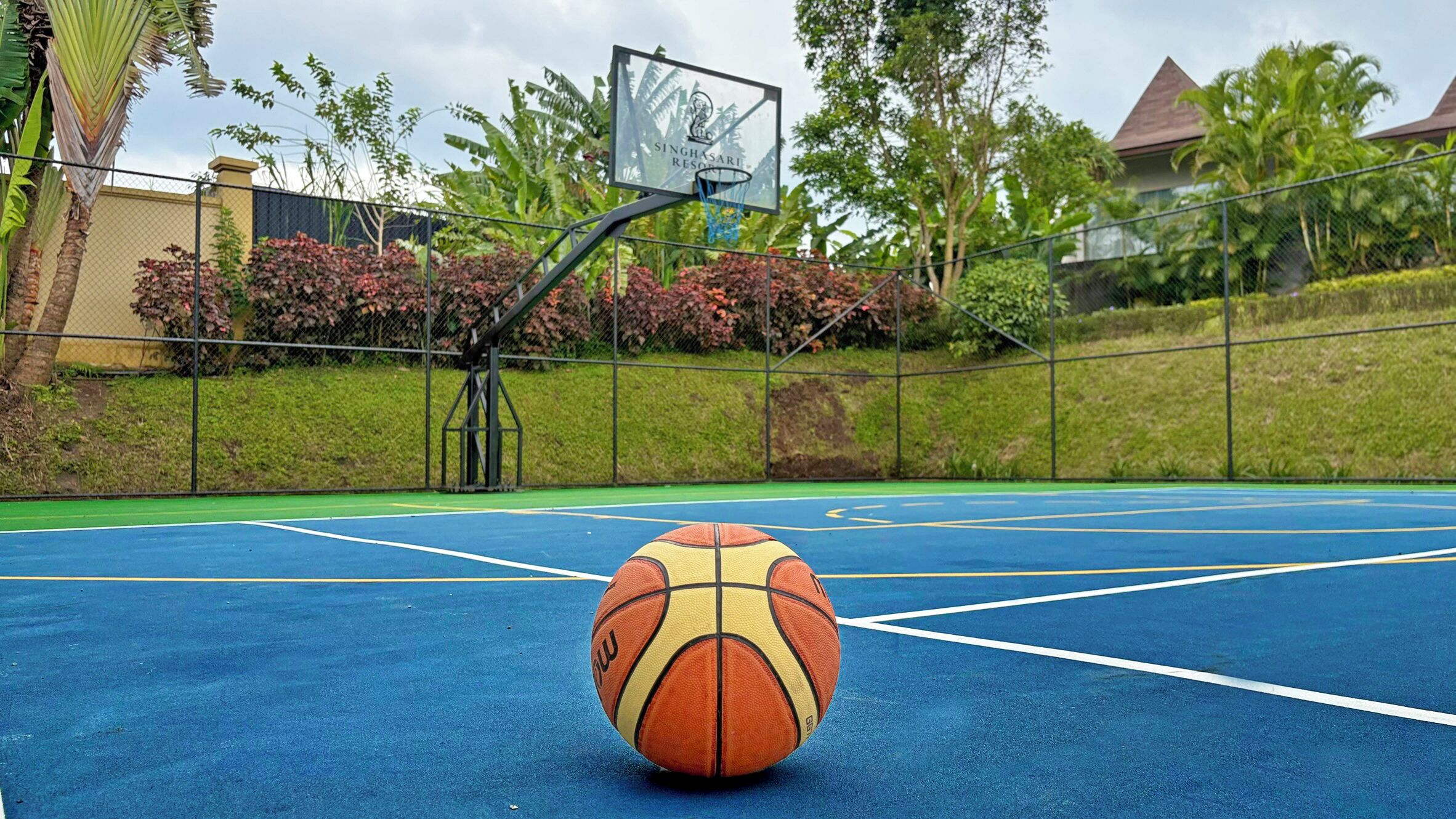 Un terrain de basket avec un panier et un ballon, entouré de verdure et d’une clôture.